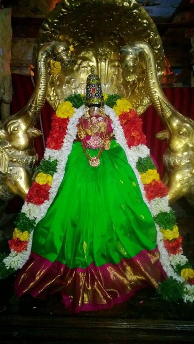 Vanamamalai Sri Deivanayaga Perumal Temple Aadi Swathi Purappadu7