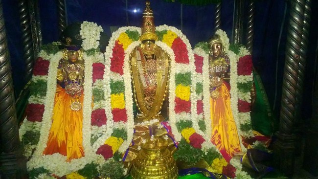 Vanamamalai Sri Deivanayaga Perumal Temple Thiruvadipooram Utsavam Concludes1