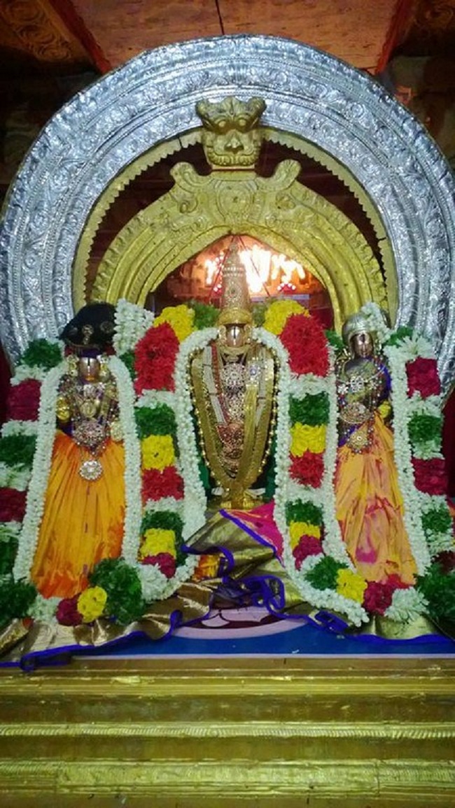 Vanamamalai Sri Deivanayaga Perumal Temple Thiruvadipooram Utsavam Concludes3