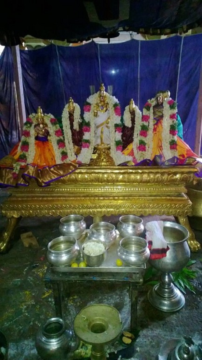 Vanamamalai Sri Deivanayaga Perumal Temple Thiruvadipooram Utsavam Concludes4