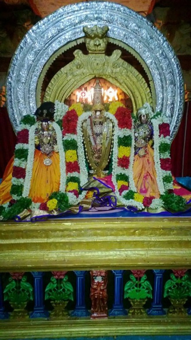 Vanamamalai Sri Deivanayaga Perumal Temple Thiruvadipooram Utsavam Concludes8