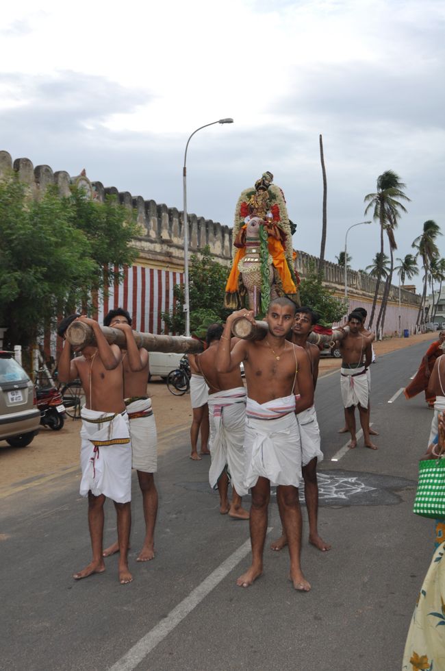 aandal hamsa vaahanam poundrigapuram (7)