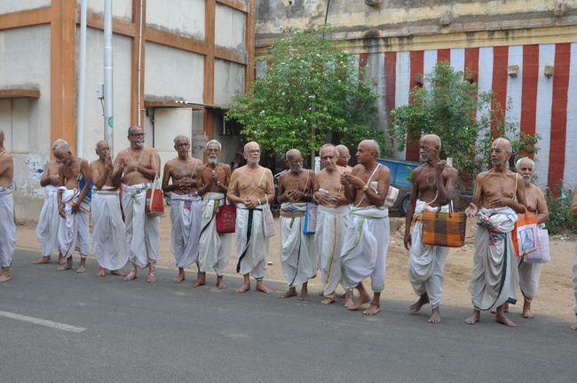 aandal hamsa vaahanam poundrigapuram (8)