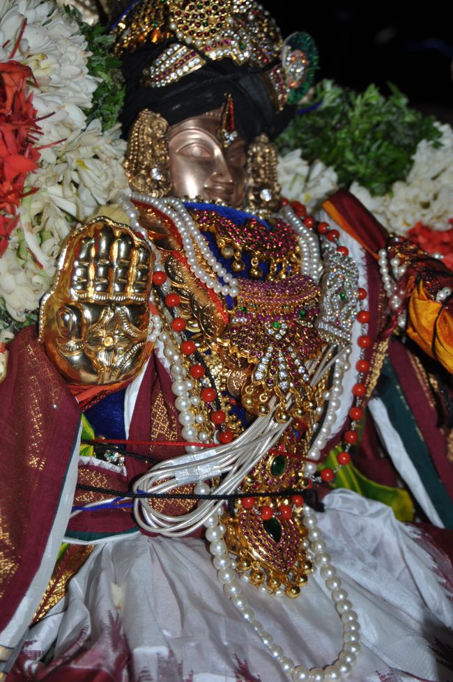 aandal kuthirai vaahanam - poundrigapuram (3)