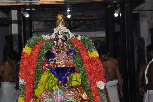 aandal simhavaahanam - poundrigapuram (3)