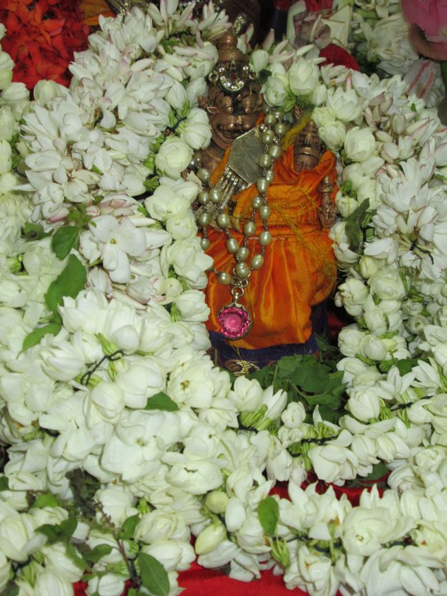 dasaavatharam sannathi 15th aug 14 aadi velli oonjal (11)