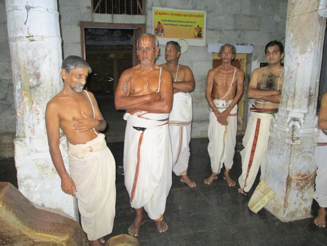 dasaavatharam sannathi 15th aug 14 aadi velli oonjal (18)