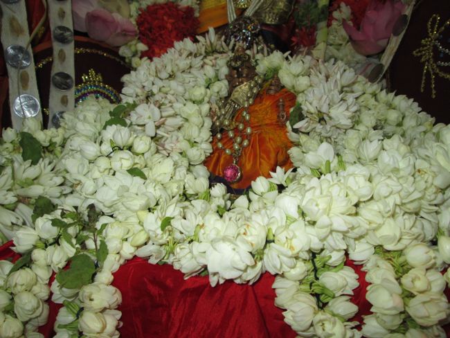 dasaavatharam sannathi 15th aug 14 aadi velli oonjal (3)