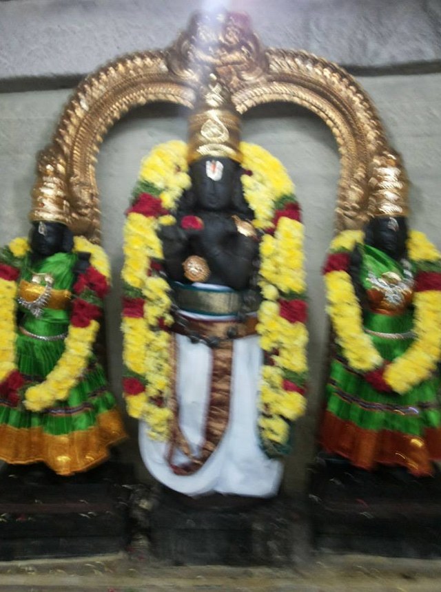 Alathurai Sri Venugopalaswami Vaarshika Utsavam 2014  3