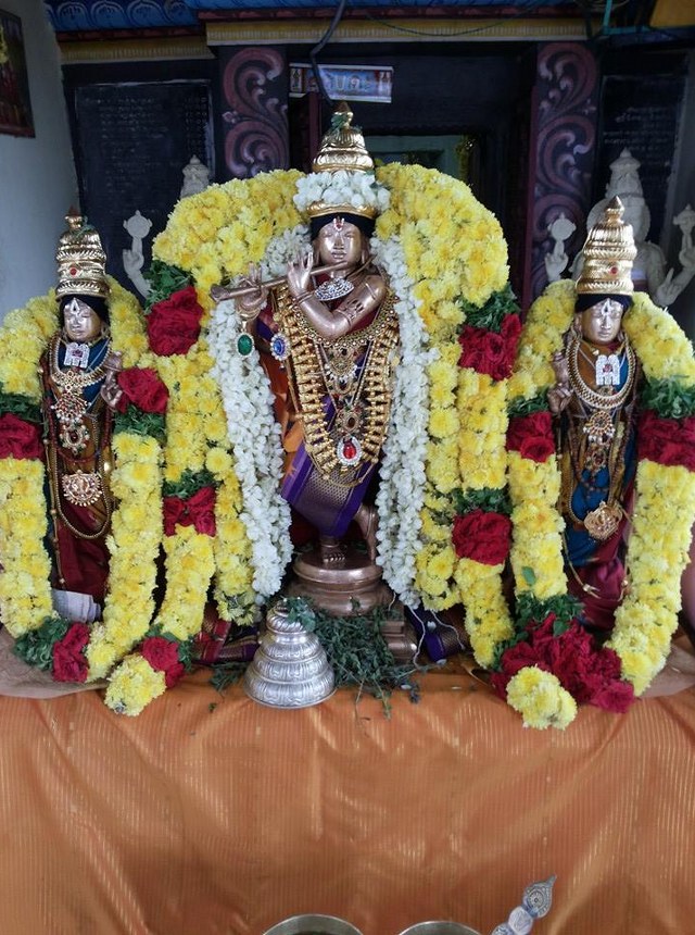 Alathurai Sri Venugopalaswami Vaarshika Utsavam 2014  5