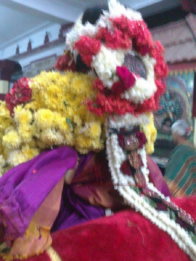 Aminjikarai Sri Prasanna Varadaraja Perumal Temple Navarathiri Utsavam 12