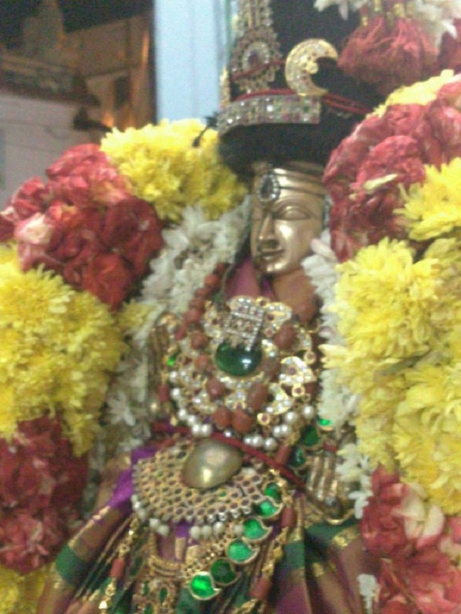 Aminjikarai Sri Prasanna Varadaraja Perumal Temple Navarathiri Utsavam 14