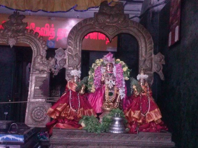 Aminjikarai Sri Prasanna Varadaraja Perumal Temple Navarathiri Utsavam2