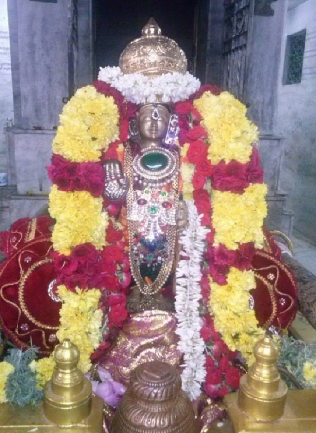 Aminjikarai Sri Prasanna Varadaraja Perumal Temple Sri Jayanthi Utsavam15