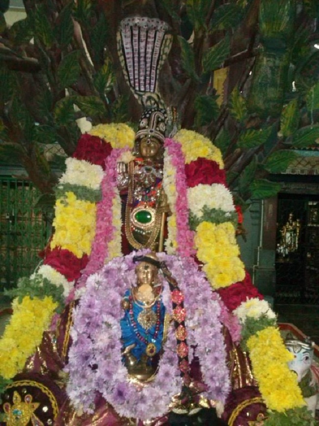 Aminjikarai Sri Prasanna Varadaraja Perumal Temple Uriyadi Utsavam4