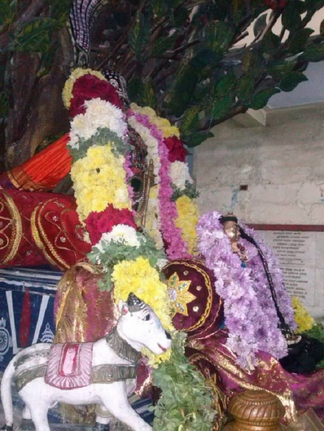 Aminjikarai Sri Prasanna Varadaraja Perumal Temple Uriyadi Utsavam5
