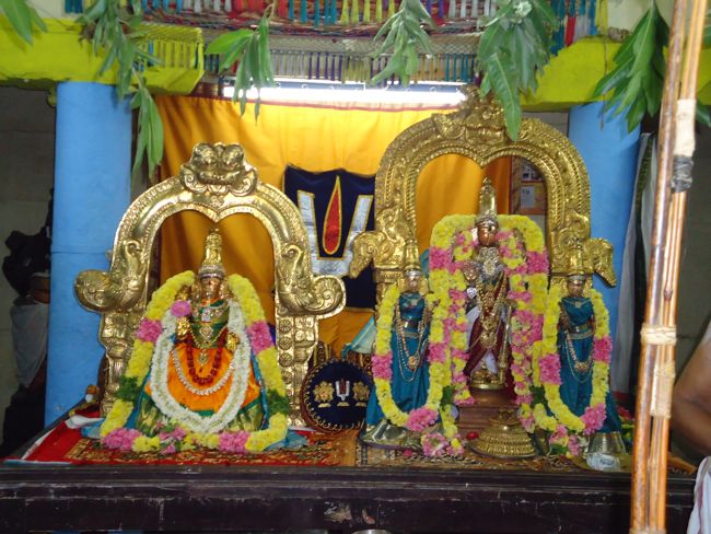 Azhwar THirunagari Jeeyar Mangalasasanam At Thiruvekka Yathokthakari Temple2014 07