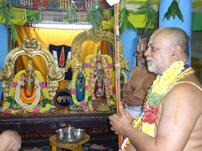 Azhwar THirunagari Jeeyar Mangalasasanam At Thiruvekka Yathokthakari Temple2014 10