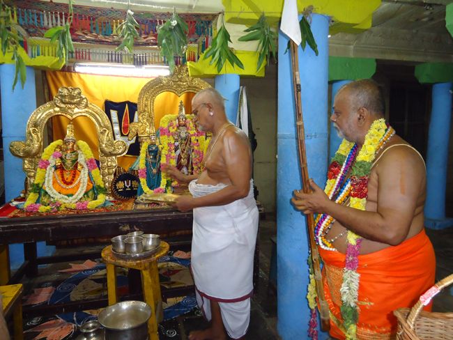 Azhwar THirunagari Jeeyar Mangalasasanam At Thiruvekka Yathokthakari Temple2014 30