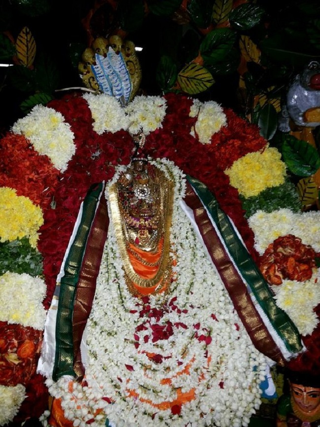 Chaturmasya Vratam of HH 46th Srimath Azhagiyasingar Concludes At Selaiyur Ahobila Mutt10