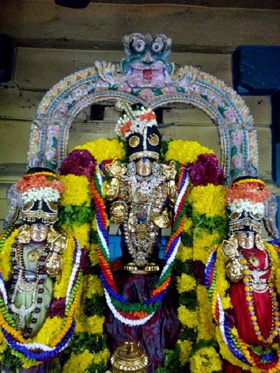 Egmore Sri Srinivasa Perumal Temple ThiruPavithrothsavam Concludes12