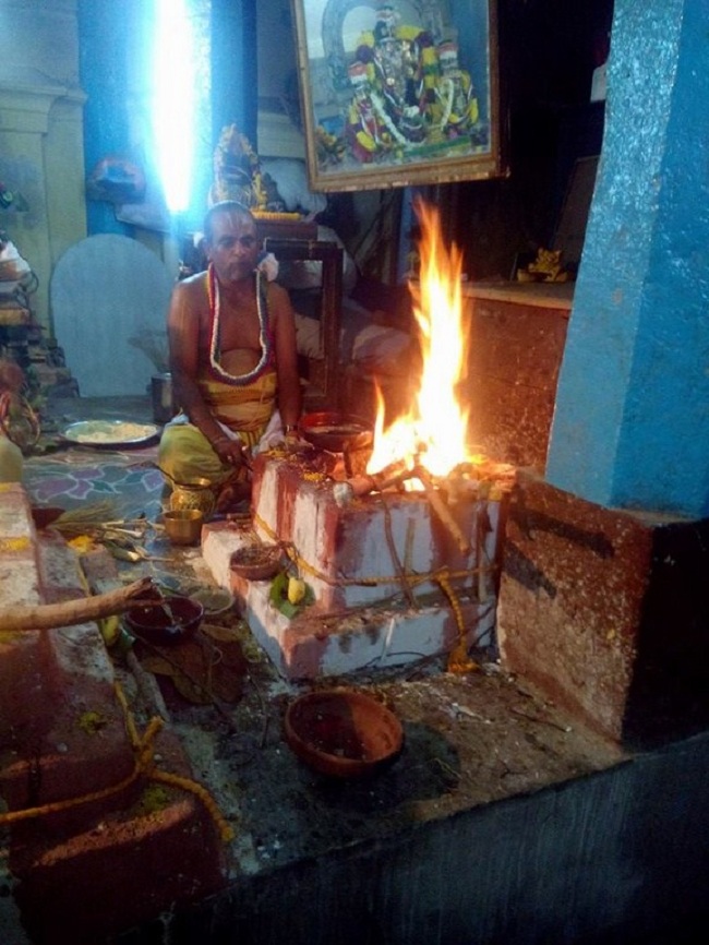 Egmore Sri Srinivasa Perumal Temple ThiruPavithrothsavam Concludes3