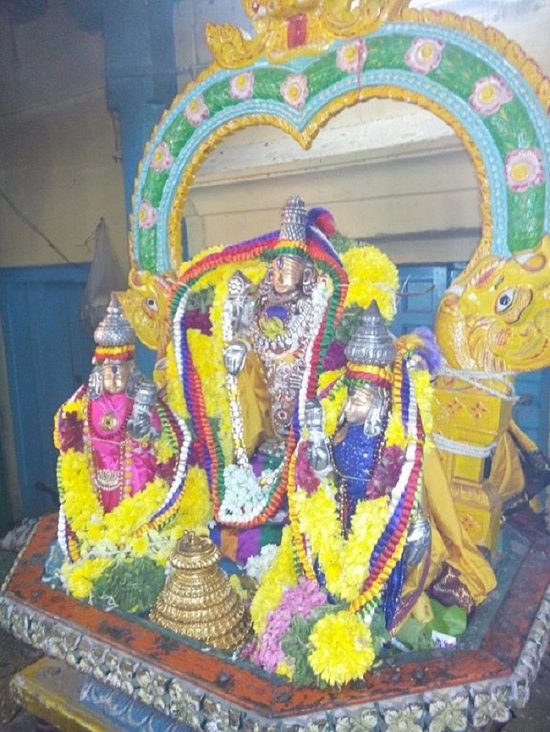 Egmore Sri Srinivasa Perumal  Temple ThiruPavithrothsavam1
