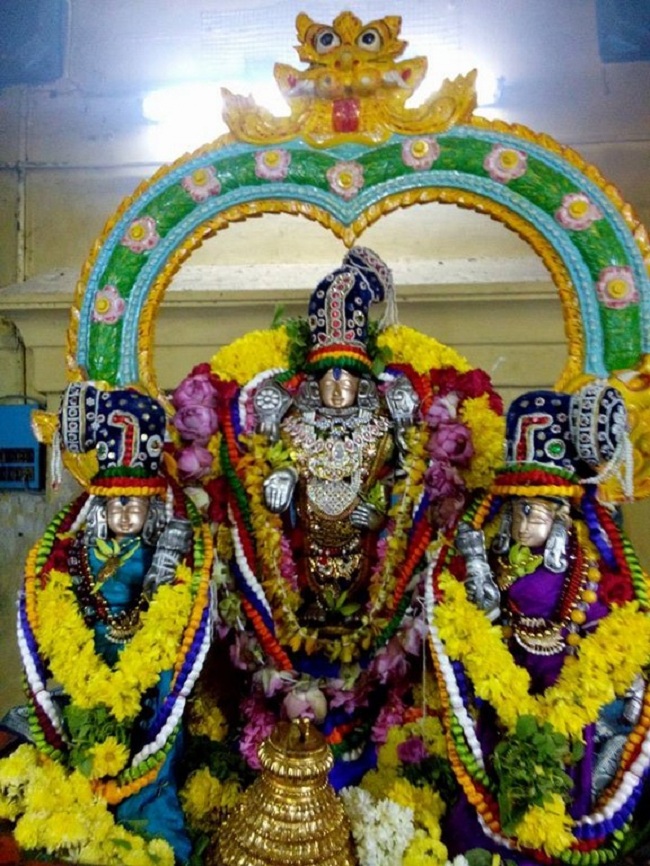Egmore Sri Srinivasa Perumal Temple ThiruPavithrothsavam1