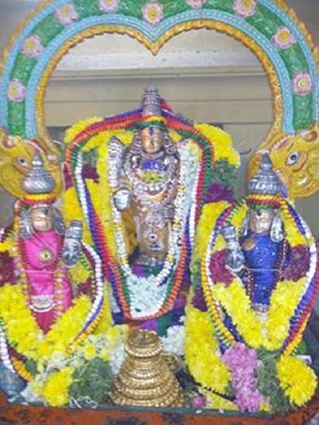 Egmore Sri Srinivasa Perumal  Temple ThiruPavithrothsavam3