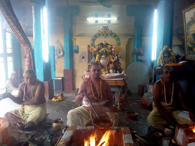 Egmore Sri Srinivasa Perumal Temple ThiruPavithrothsavam3
