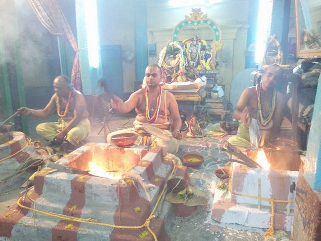 Egmore Sri Srinivasa Perumal  Temple ThiruPavithrothsavam4