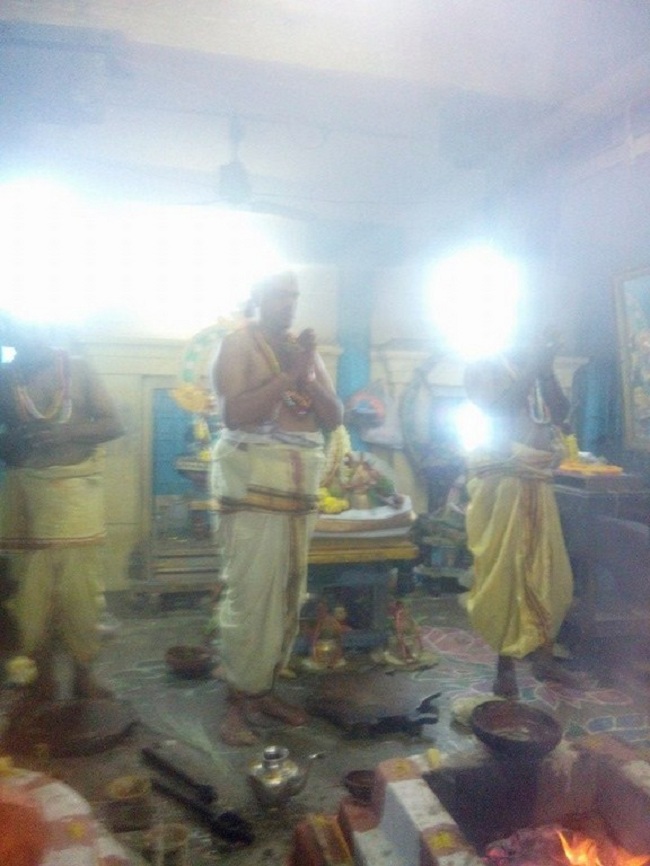 Egmore Sri Srinivasa Perumal  Temple ThiruPavithrothsavam5