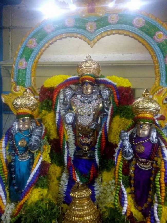 Egmore Sri Srinivasa Perumal  Temple ThiruPavithrothsavam7