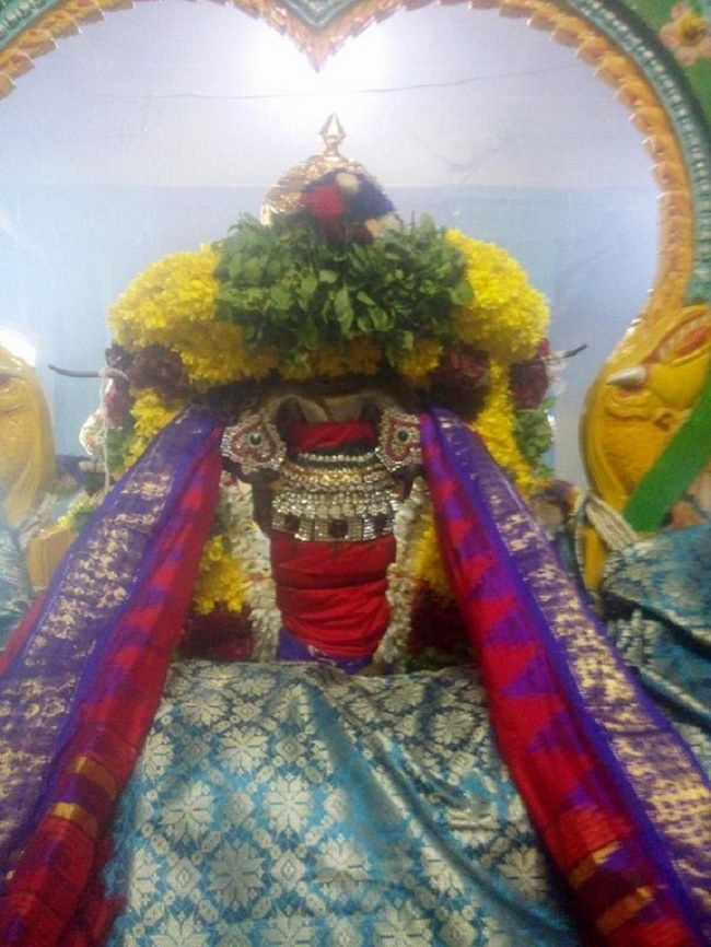 Egmore Sri Srinivasa Perumal  Temple ThiruPavithrothsavam8
