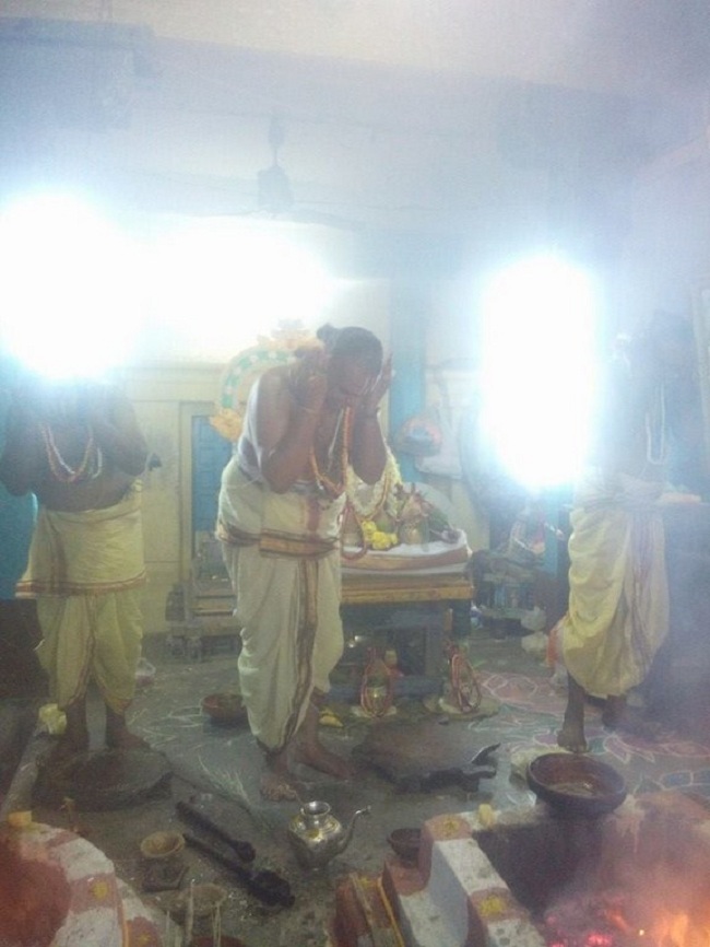 Egmore Sri Srinivasa Perumal  Temple ThiruPavithrothsavam9