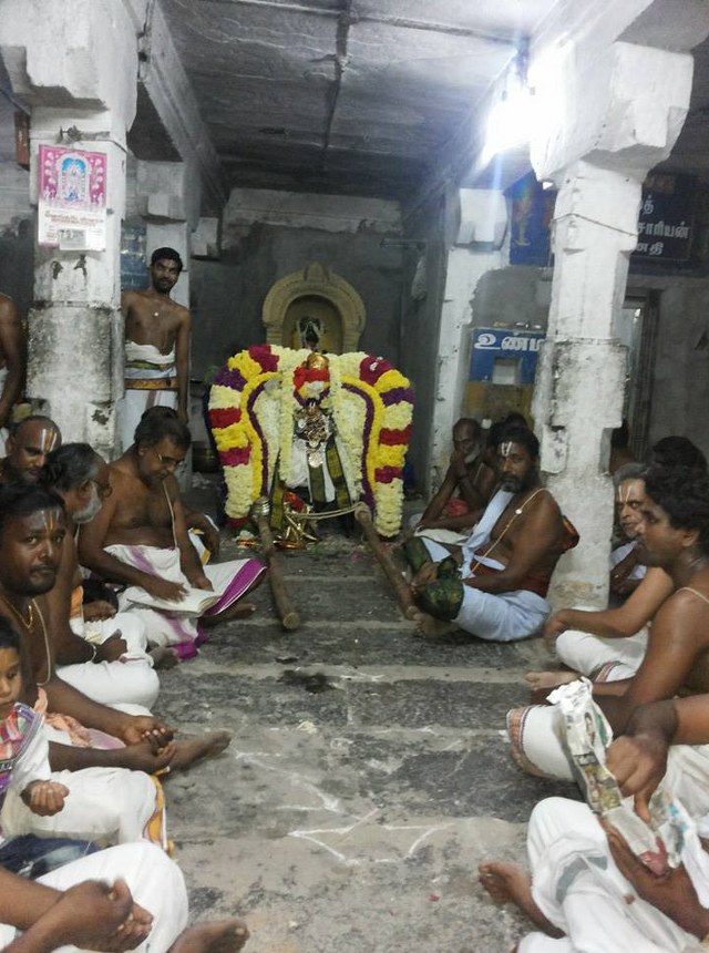 Gengapuram Sri Varadarja Perumal Sannadhi Vikanasacharya Avatara Utsavam  2014  03