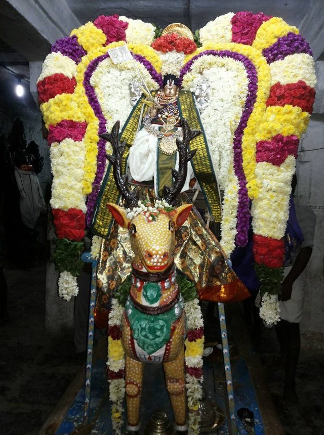 Gengapuram Sri Varadarja Perumal Sannadhi Vikanasacharya Avatara Utsavam  2014  06