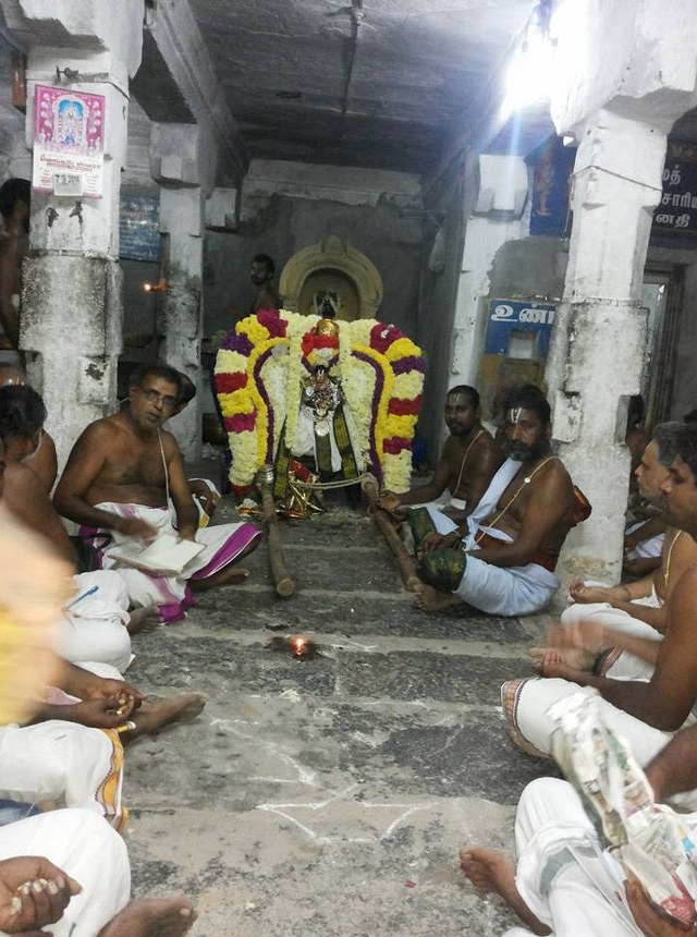 Gengapuram Sri Varadarja Perumal Sannadhi Vikanasacharya Avatara Utsavam  2014  08