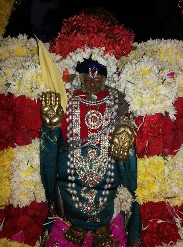Gengapuram Sri Varadarja Perumal Sannadhi Vikanasacharya Avatara Utsavam  2014  09