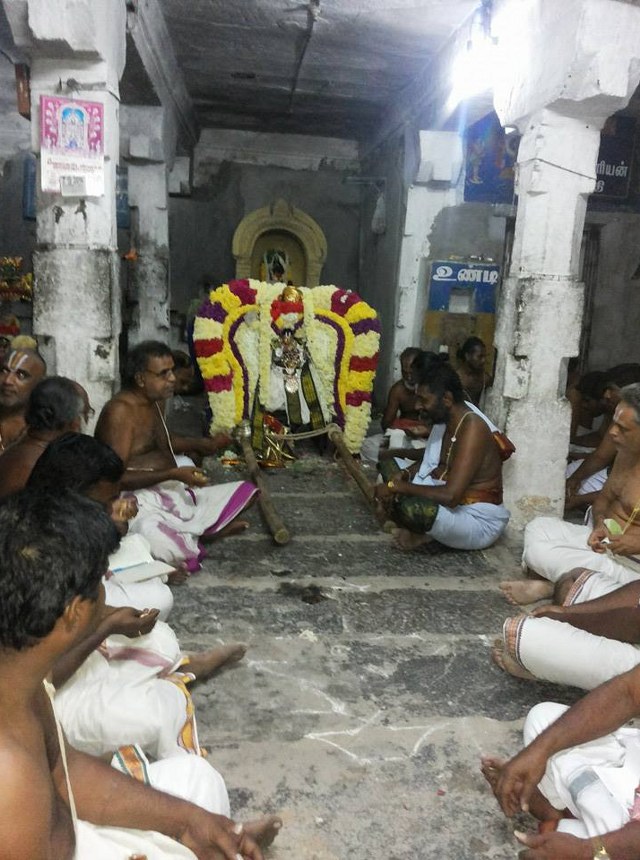 Gengapuram Sri Varadarja Perumal Sannadhi Vikanasacharya Avatara Utsavam  2014  10