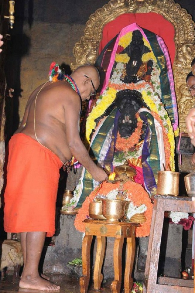 HH 46th Srimath Azhagiyasingar Mangalasasanam And Sri Malolan Serthi Utsavam At Upper Ahobilam28