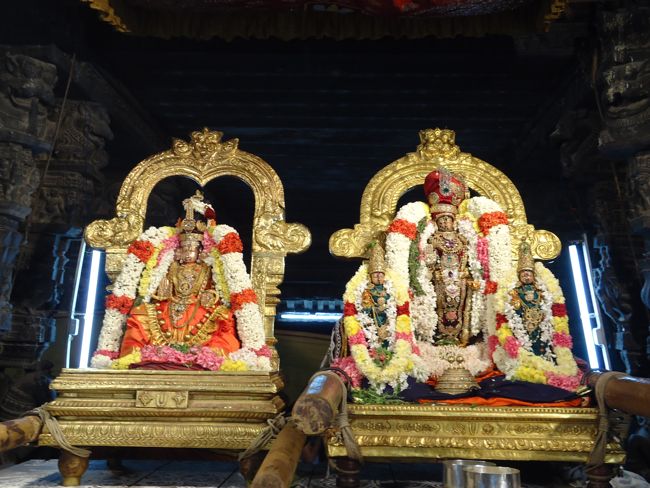 HH Azwhar Thirunagari Jeeyar Mangalasasanam At Kanchi Devapperumal Sannadhi 2014 10