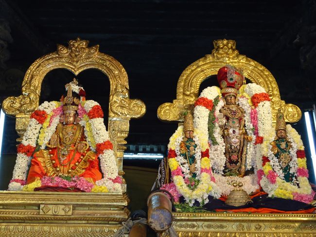 HH Azwhar Thirunagari Jeeyar Mangalasasanam At Kanchi Devapperumal Sannadhi 2014 11