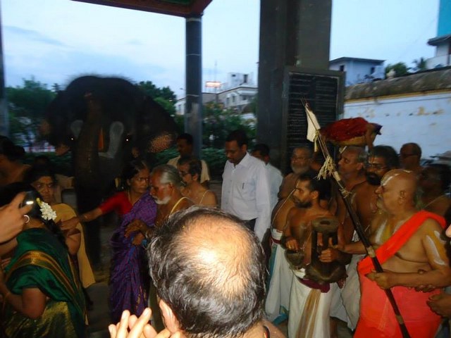 HH Srimushnam Andavan Mangalasasanam at Oppiliappan Venkatachalapathi Temple  2014 05