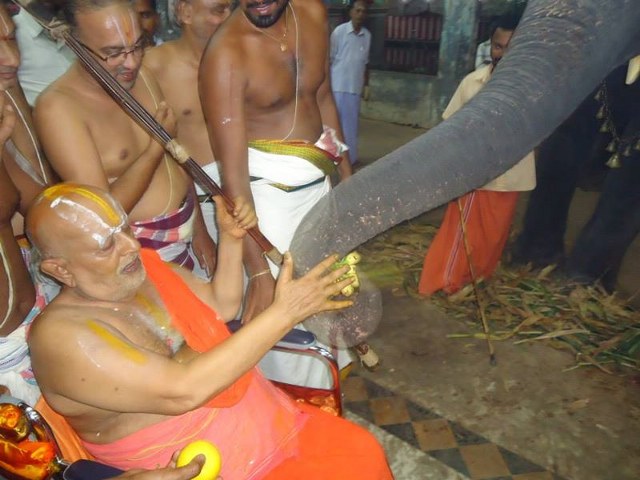 HH Srimushnam Andavan Mangalasasanam at Oppiliappan Venkatachalapathi Temple  2014 16
