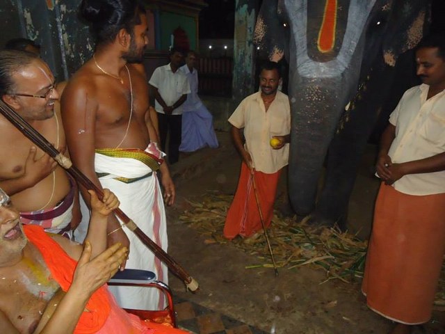 HH Srimushnam Andavan Mangalasasanam at Oppiliappan Venkatachalapathi Temple  2014 17