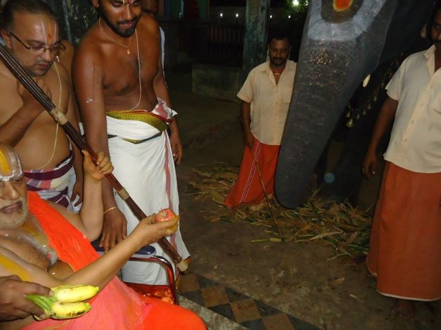 HH Srimushnam Andavan Mangalasasanam at Oppiliappan Venkatachalapathi Temple  2014 20