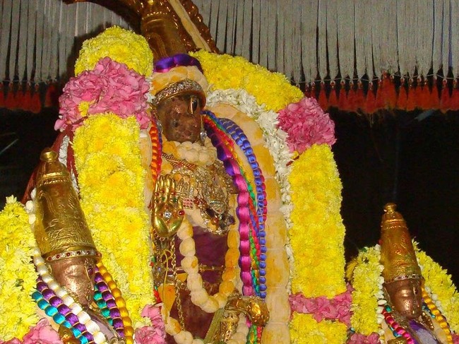 Kanchi Devaperumal Pavithrotsavam day 4