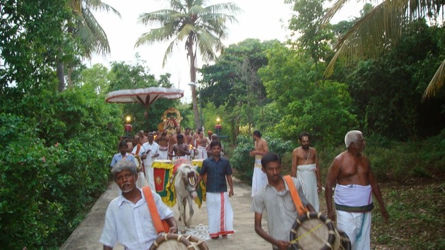Kanchi Perundhevi Thayar Jaya PUrattasi Sukravara Purappadu  2014 04