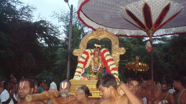 Kanchi Perundhevi Thayar Jaya PUrattasi Sukravara Purappadu  2014 14